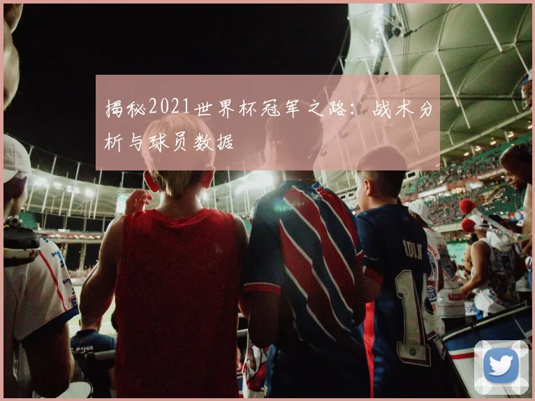 揭秘2021世界杯冠军之路：战术分析与球员数据