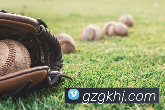 beat365网页版入口平台生态图