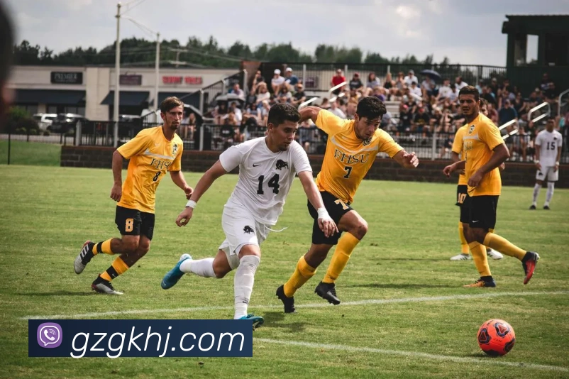 beat365网页版入口APP 封面图